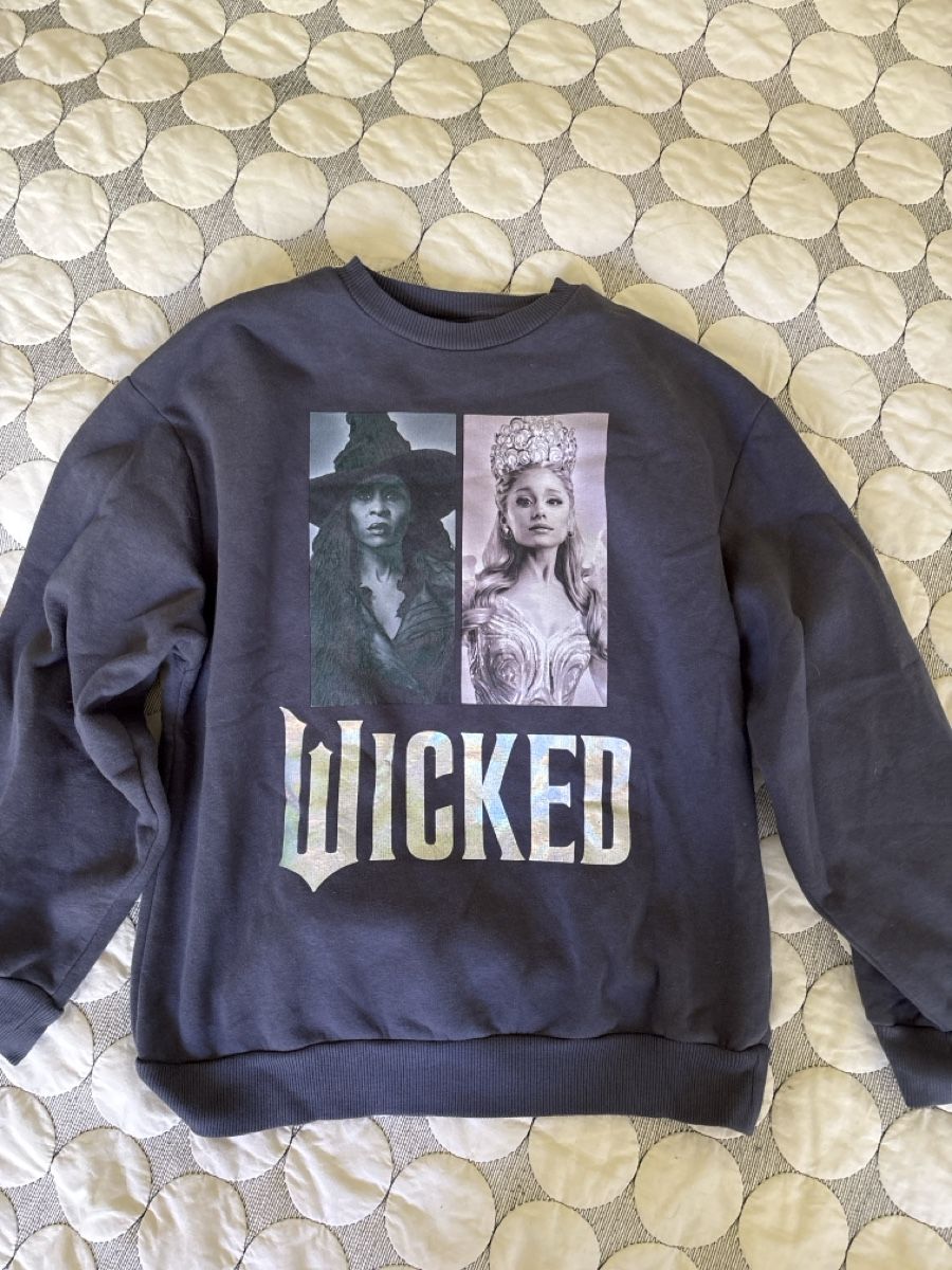 Maglioni & Felpe: Pullover Wicked 152cm 12Y guter Zustand – Usato da Cham venduto da MC_0605
