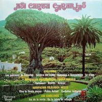 ASI CANTA CANARIAS Spain Folk Music LP Spanische Volksmusik
