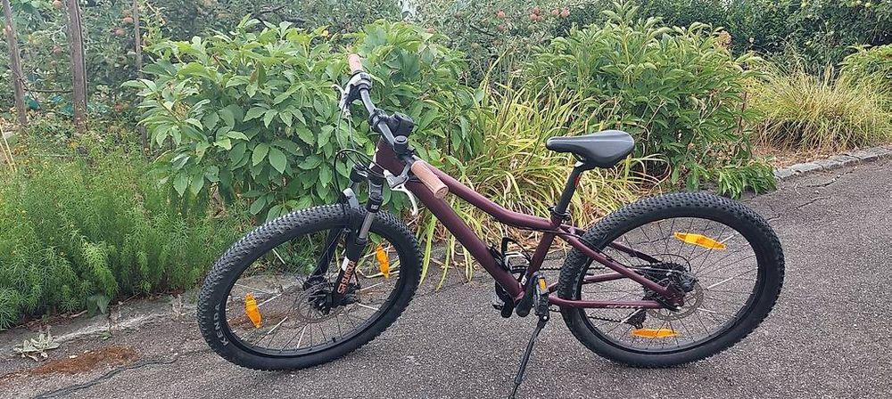 fahrrad 24 zoll rahmenhöhe 35 Jugendfahrrad mit Riemenantrieb kaufen engr:floor stabilizers:yes Farbe:Grün Rucola haltbar machen: So