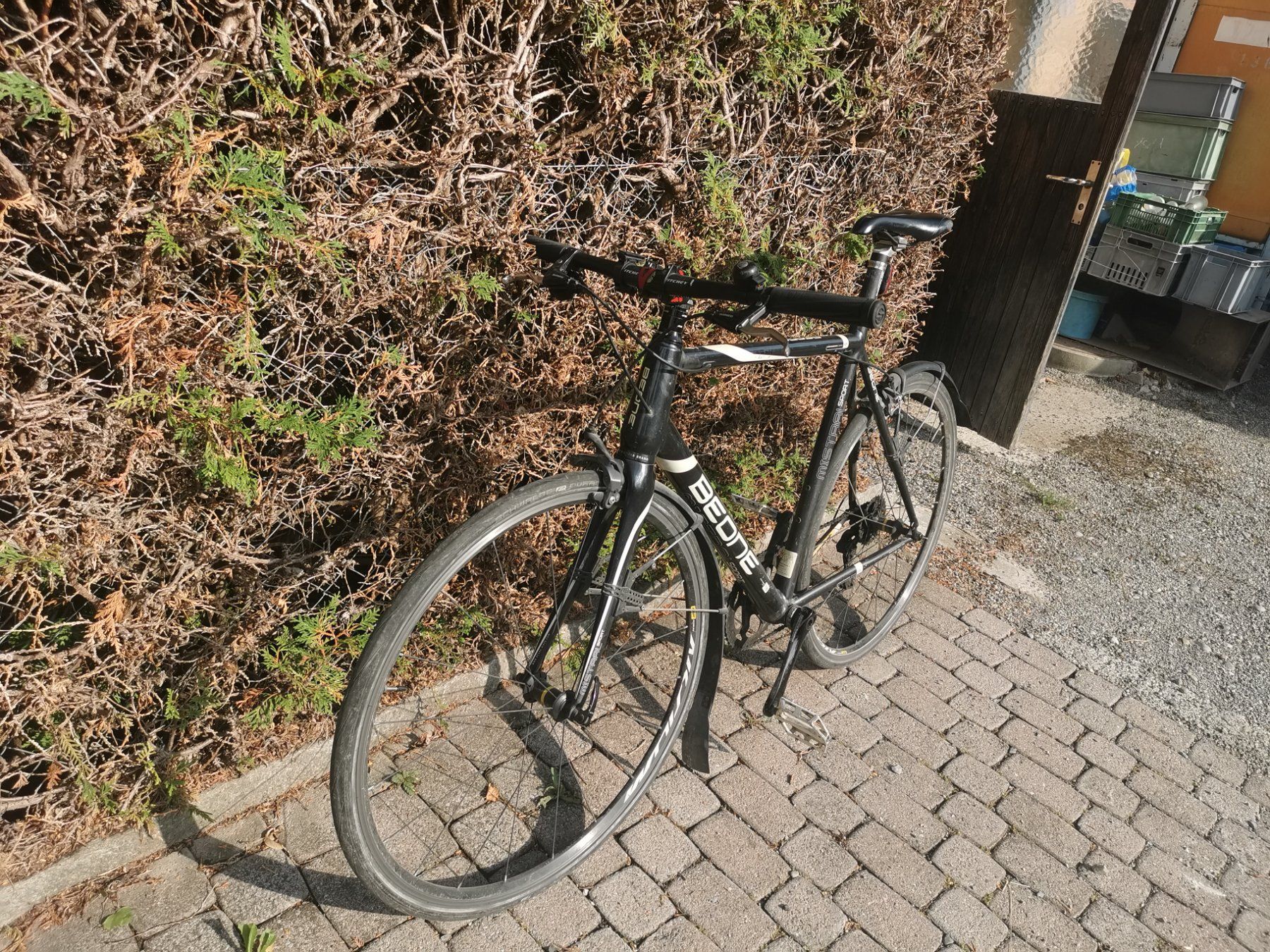 Biciclette: Carbonvelo – Usato da Elsau venduto da Bruno171 1