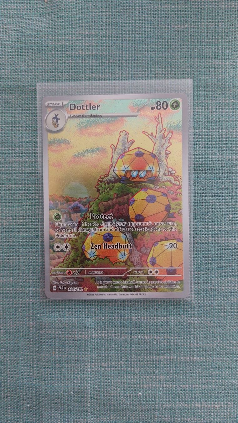 Pokémon Carte collezionabili: Dottler Illustration Rare Paradox Rift – Nuovo (secondo la descrizione) da Bellinzona venduto da Pagur