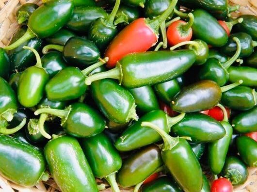 Ab 1. fr 5 Samen Graines Semi JALAPEÑO CHILI PEPERONCINO Kaufen auf