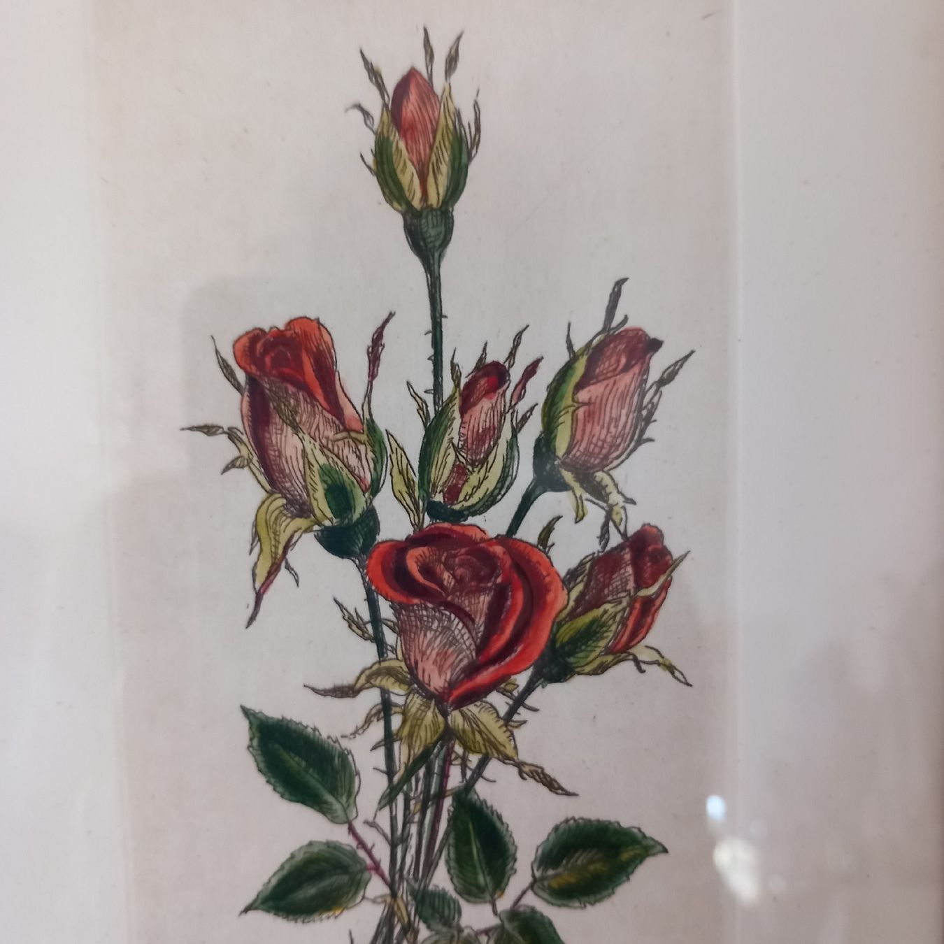 Poster & Bilder: Antikes Rosen Bild / Nostalgie – Gebraucht aus Aegerten von gismolini 2