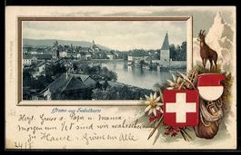 Solothurn, Teilansicht der Stadt, Gemse 