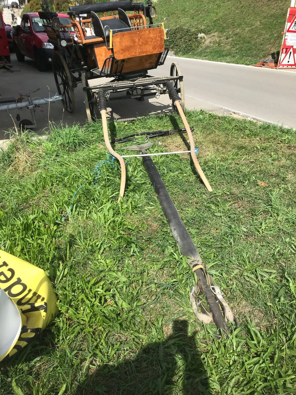 Carrozze: Pferdekutsche Wagonette – Usato da Niederhasli venduto da Fribi_bea 6