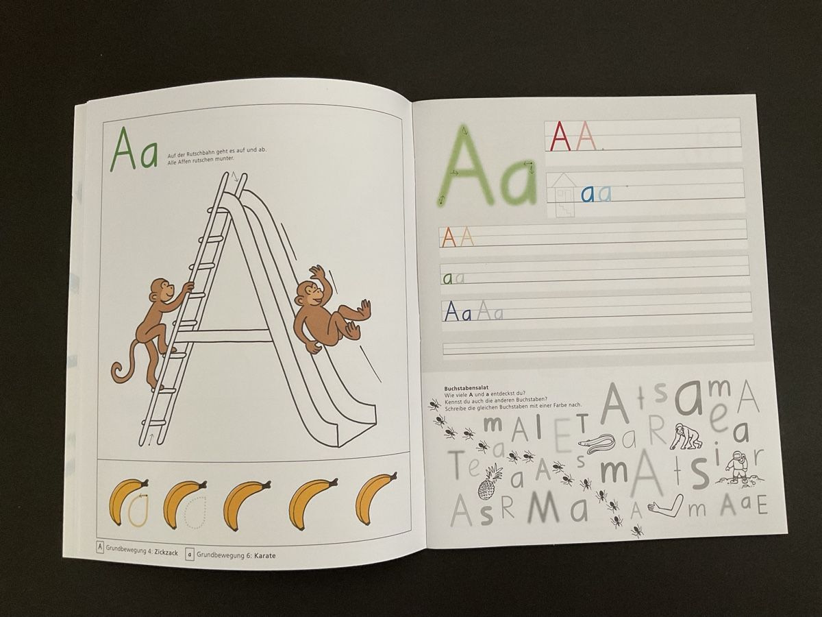 Libri: Schubi Basisschrift Arbeitsheft, neu! Primarschule – Nuovo (secondo la descrizione) da Luzern venduto da Feliz 2