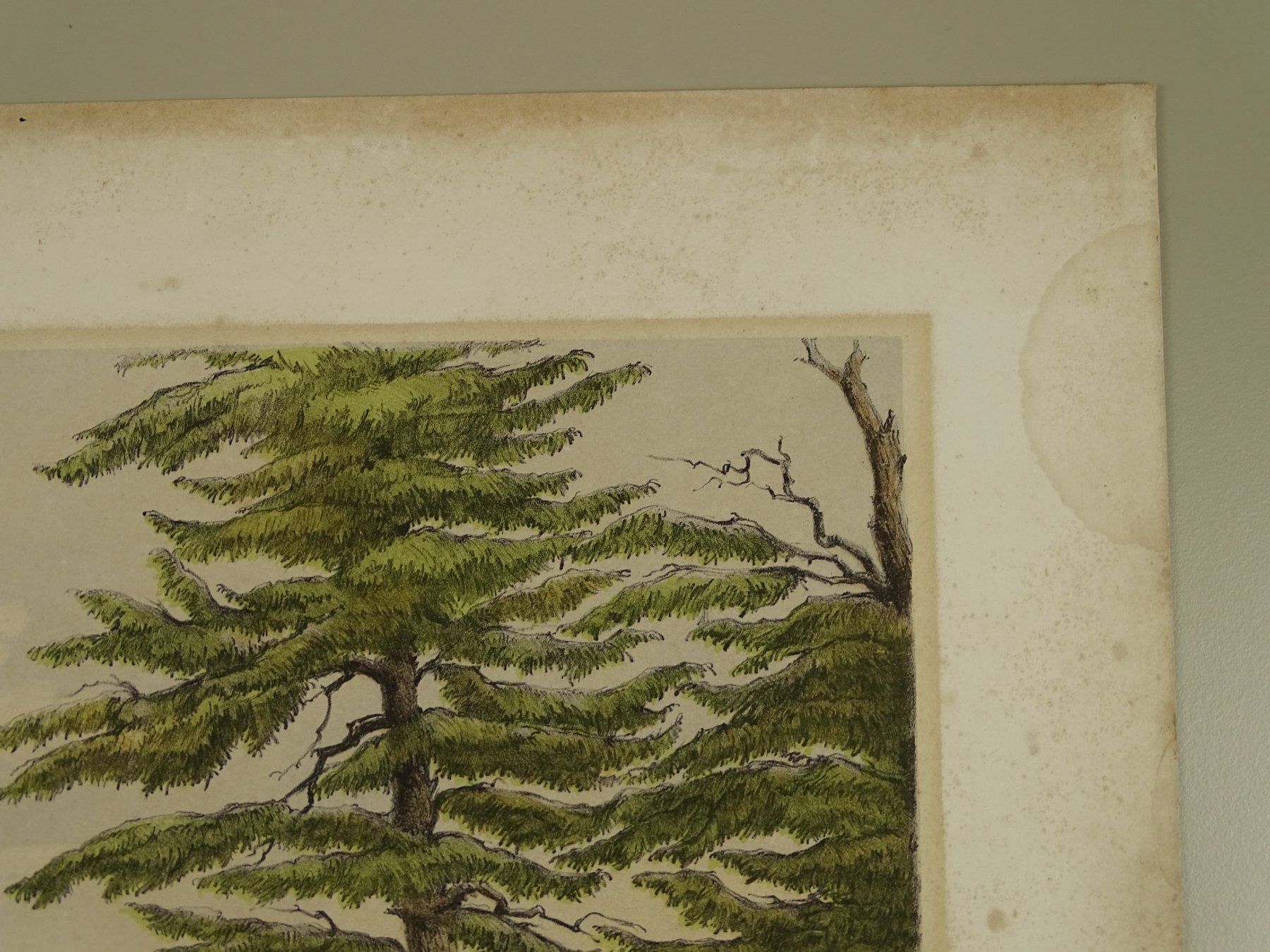 Incisioni: SUMISWALD, LITHOGRAPHIE UM 1870 – Usato da Grüningen venduto da Kartensammler 4