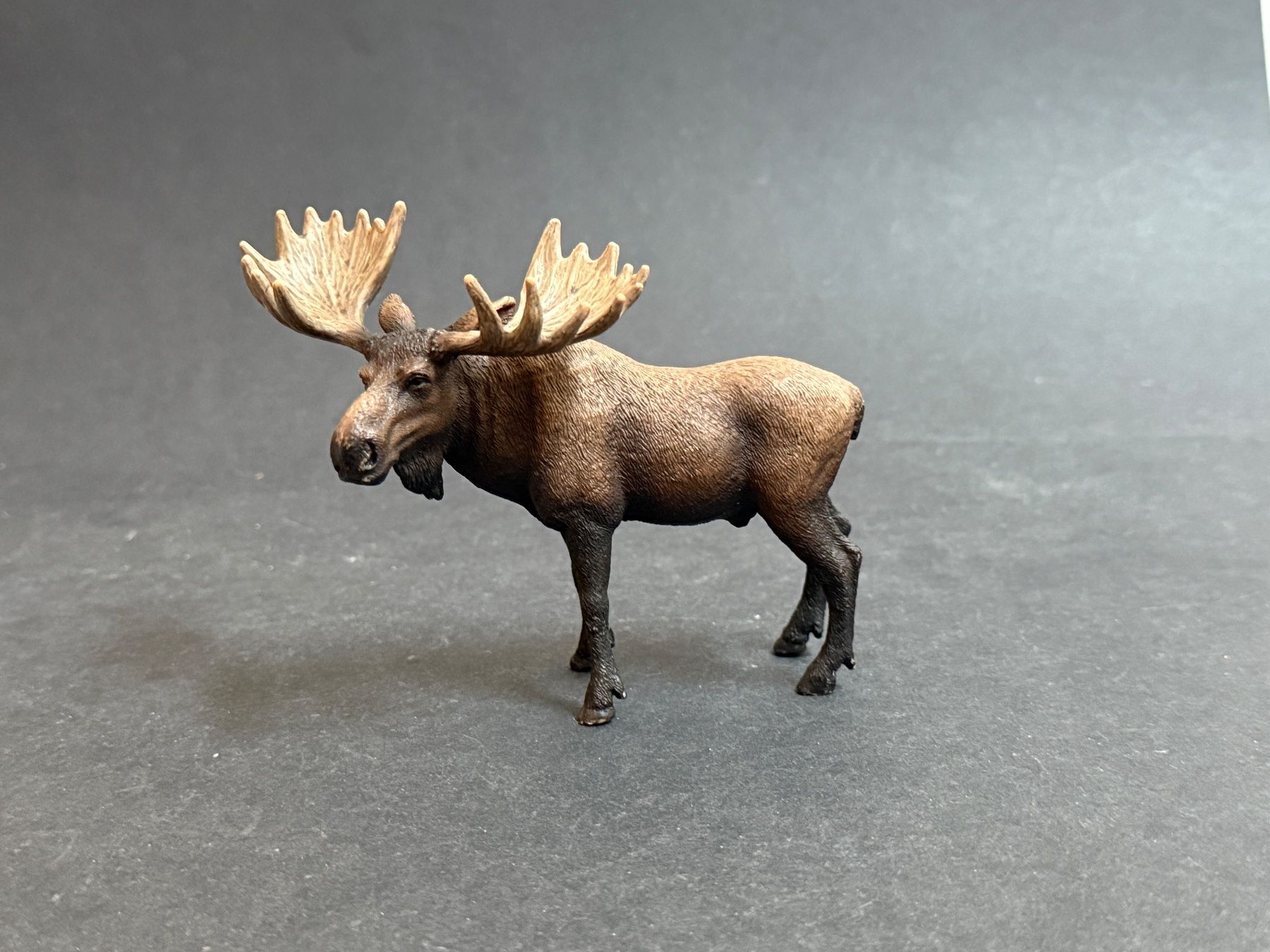 Schleich Statuette: Schleich Elch Bulle – Usato da Ennetbaden venduto da mapa05 1
