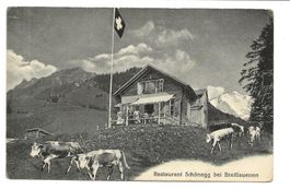 Restaurant Schönegg bei Breitlauenen ob Wilderswil (BE) 1925