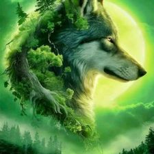 Profile image of Gody82