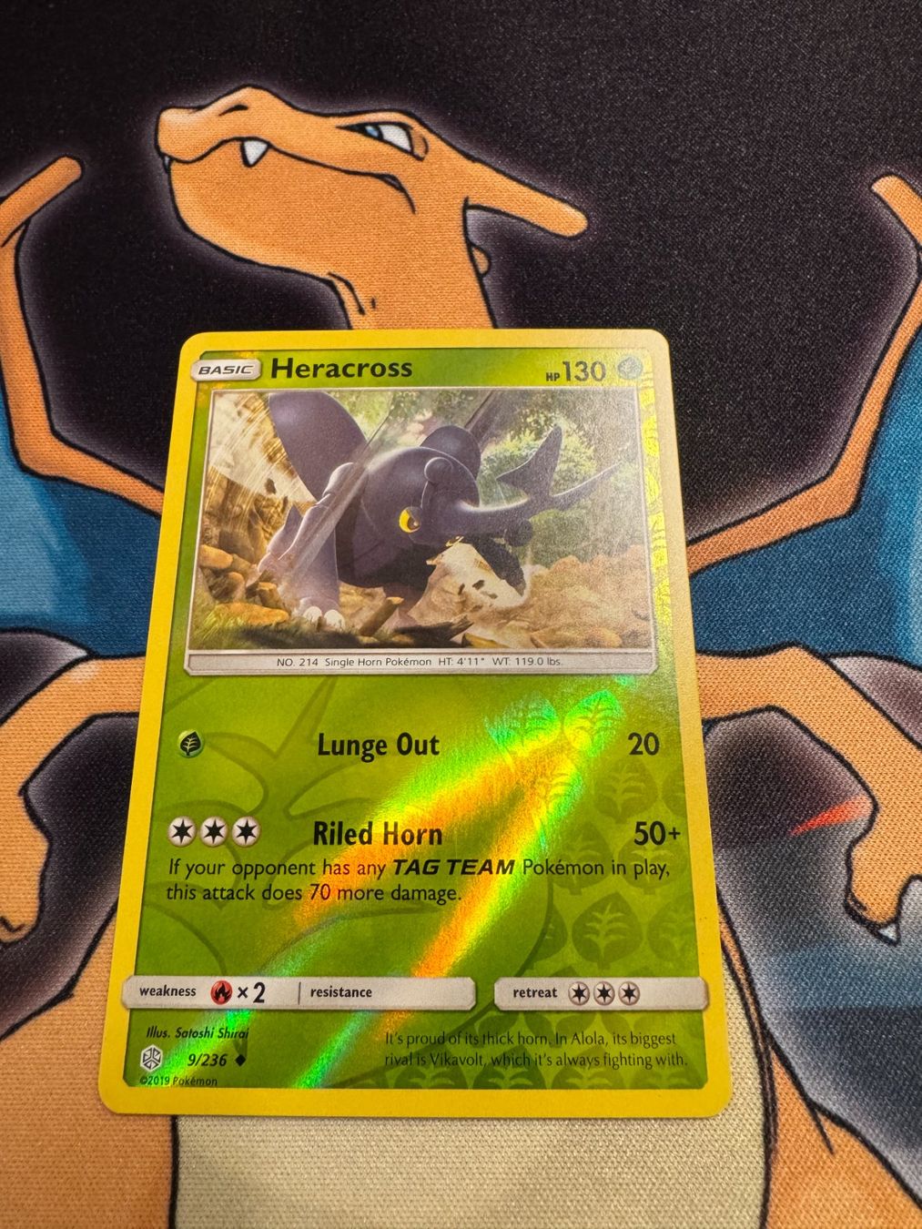Pokémon Carte collezionabili: Heracross (CEC 9) - Reverse Holo - Cosmic Eclipse – Nuovo (secondo la descrizione) da Bülach venduto da Pfrenzel