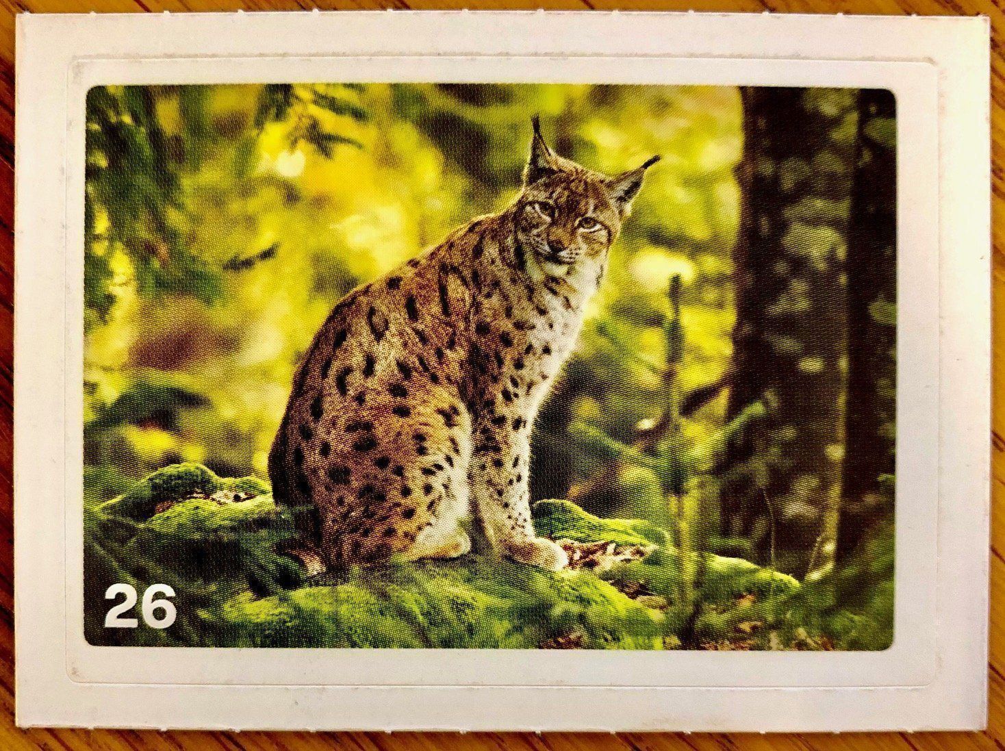 Migros Carte collezionabili: Migros Nature Detectives - Bild Nr. 26 – Nuovo (secondo la descrizione) da Oberrieden venduto da Zimmerberg10
