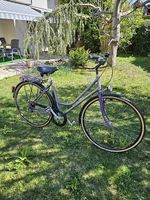 City Bike Tigra