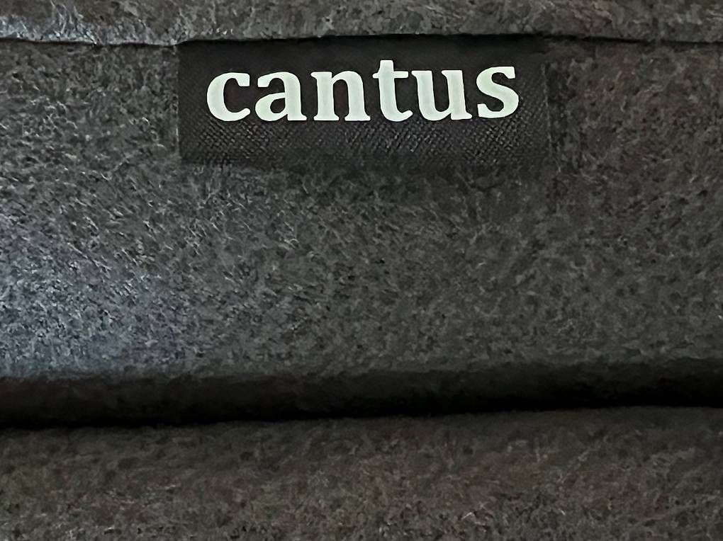 Sedie: Cantus; hochwertiger Esszimmerstuhl; Anthrazit;Freischwinger – Usato da Mels venduto da Ralf-dp8t 4