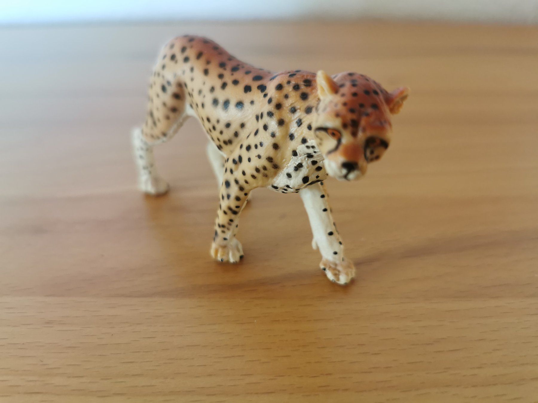 Statuette: Gepard, Safari Ltd, 1996, aus Sammlung – Usato da Gebenstorf venduto da Aturic