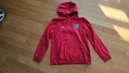 Nike Hoodie Lakers Rapperswil