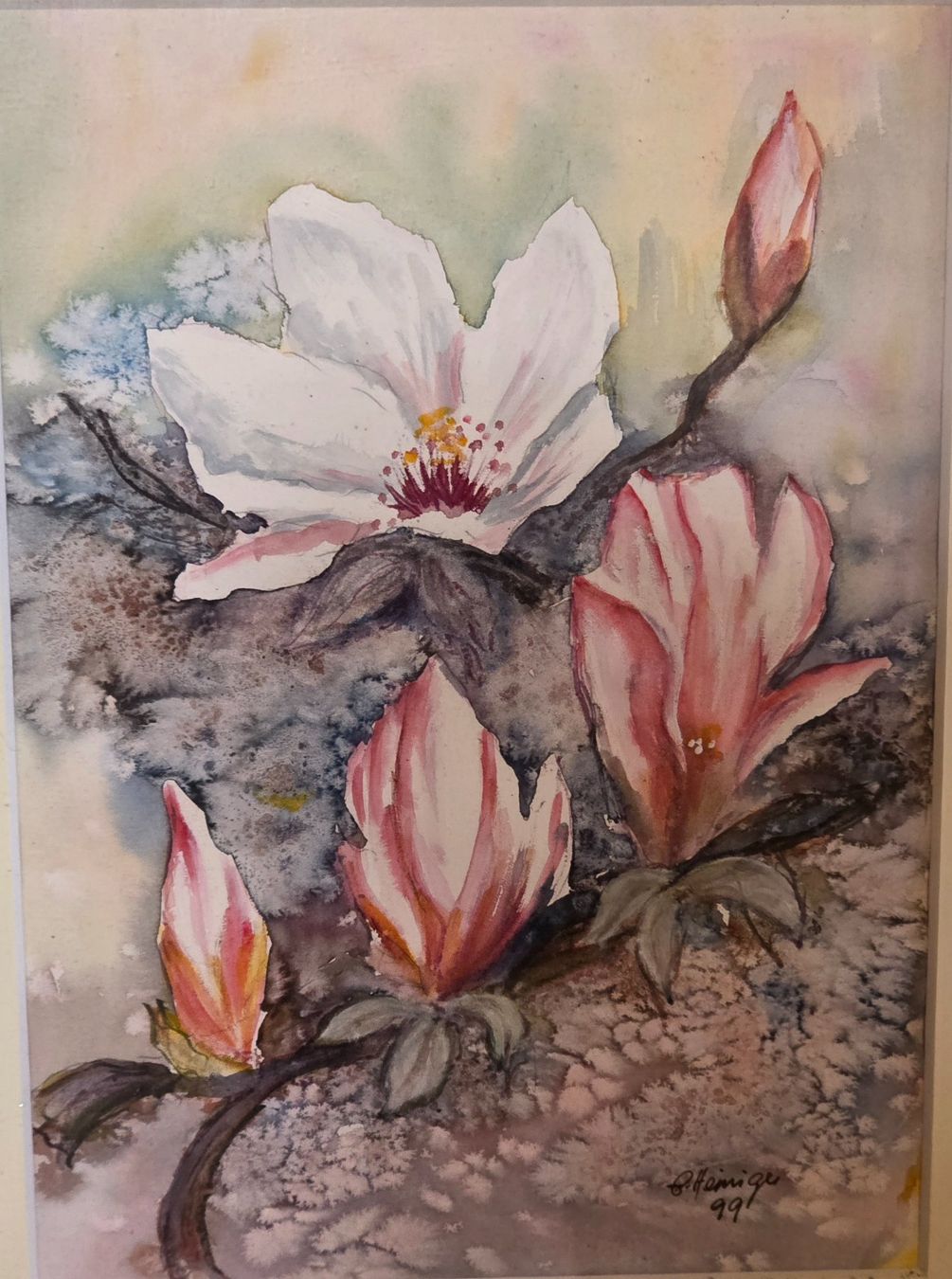 Dipinti: Magnolia Aquarell – Usato da Rohrbach venduto da lod_m58r 2