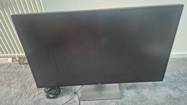 DellFlat Panel Monitor U4320Q