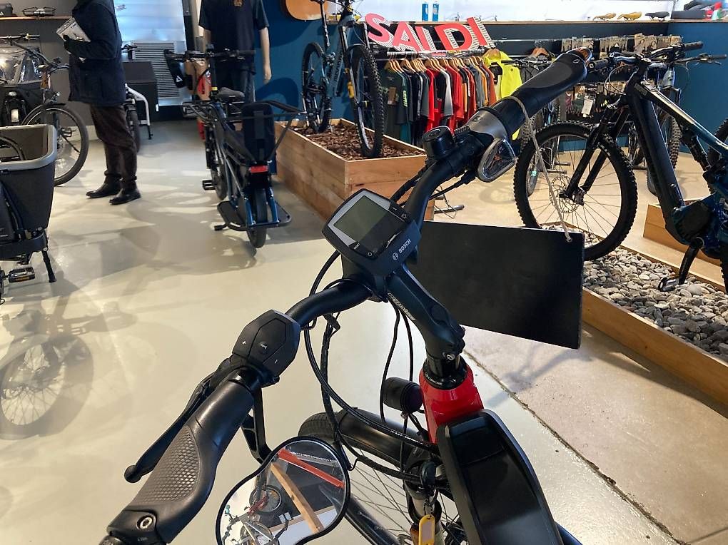 Riese & Müller Vélos: Riese & Müller Nevo 45km/h – D'occasion à Sorengo par Littman 2