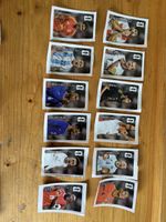 alle 12 Panini Stickers von Coca Cola