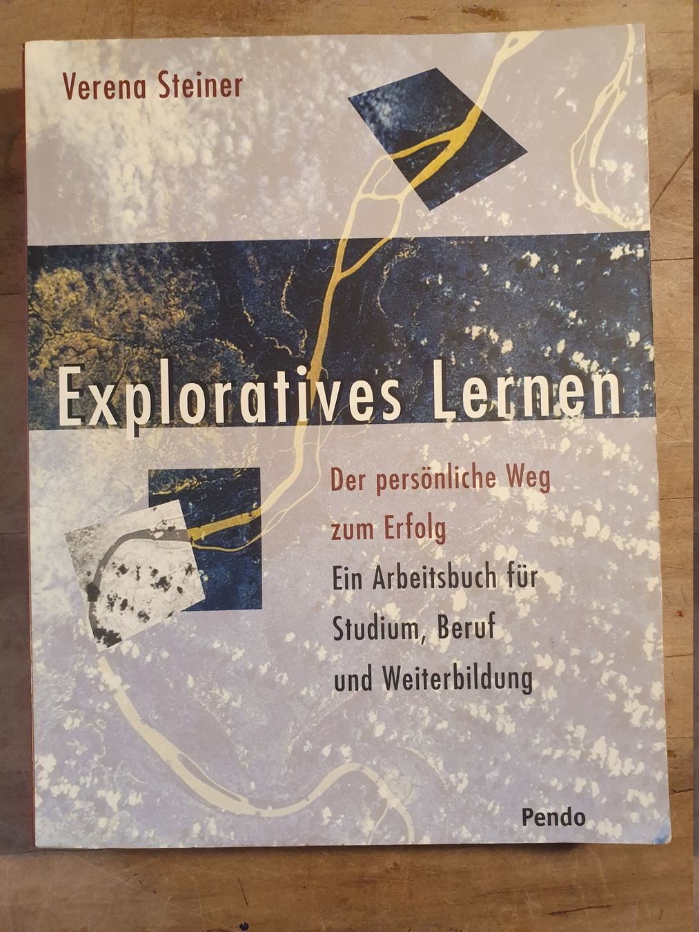 Libri: Exploratives Lernen Verena Steiner Pendo – Usato da Zürich venduto da loosebone