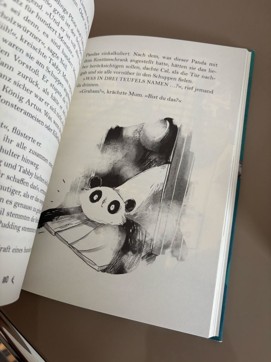 Bücher: Kinderbuch Ein Panda zieht ein – Gebraucht aus Boniswil von Biancaneve91 2