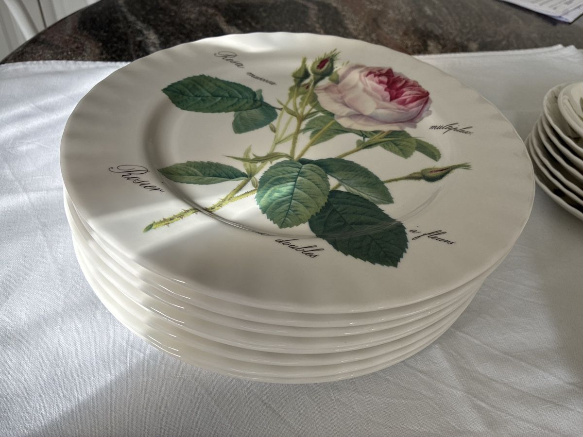 Set di piatti: Kaffeesevice – Usato da Basadingen venduto da bachmag 1