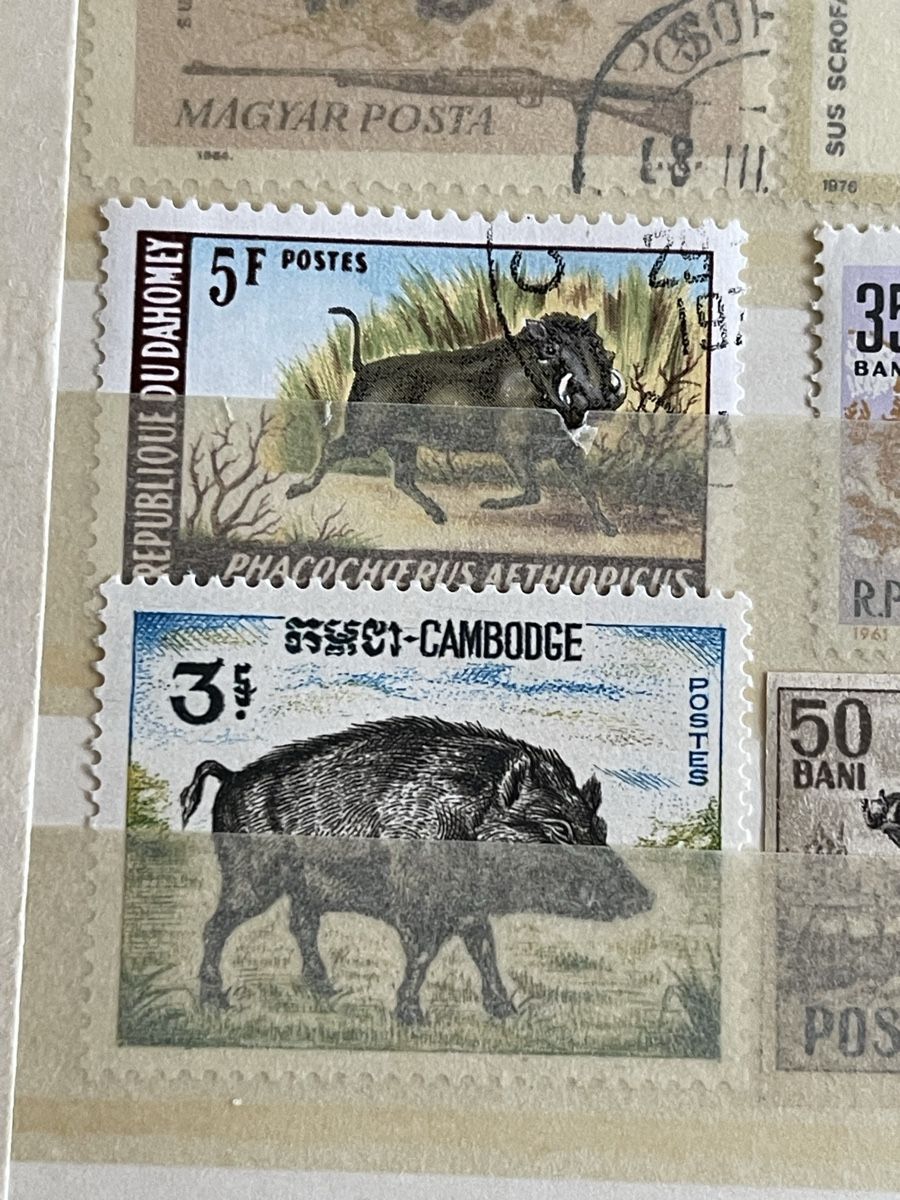 Tous les timbres: Briefmarken mit Wildschweinen – Neuf (Voir description) à Bern par TamSham 5