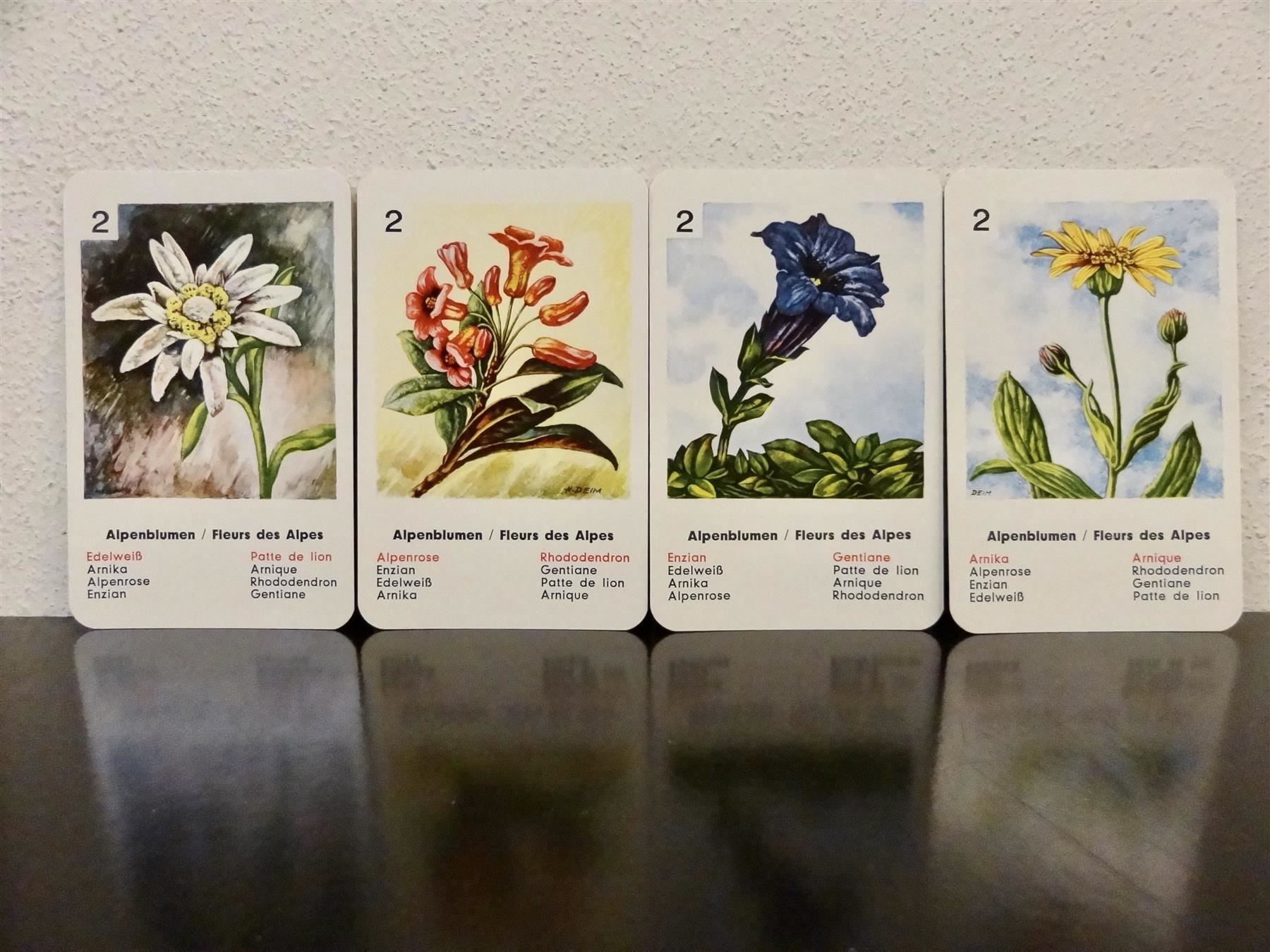 Giochi: altes Quartett BLUMEN-QUARTETT BLUMEN – Usato da Kerzers venduto da wisaundso 3