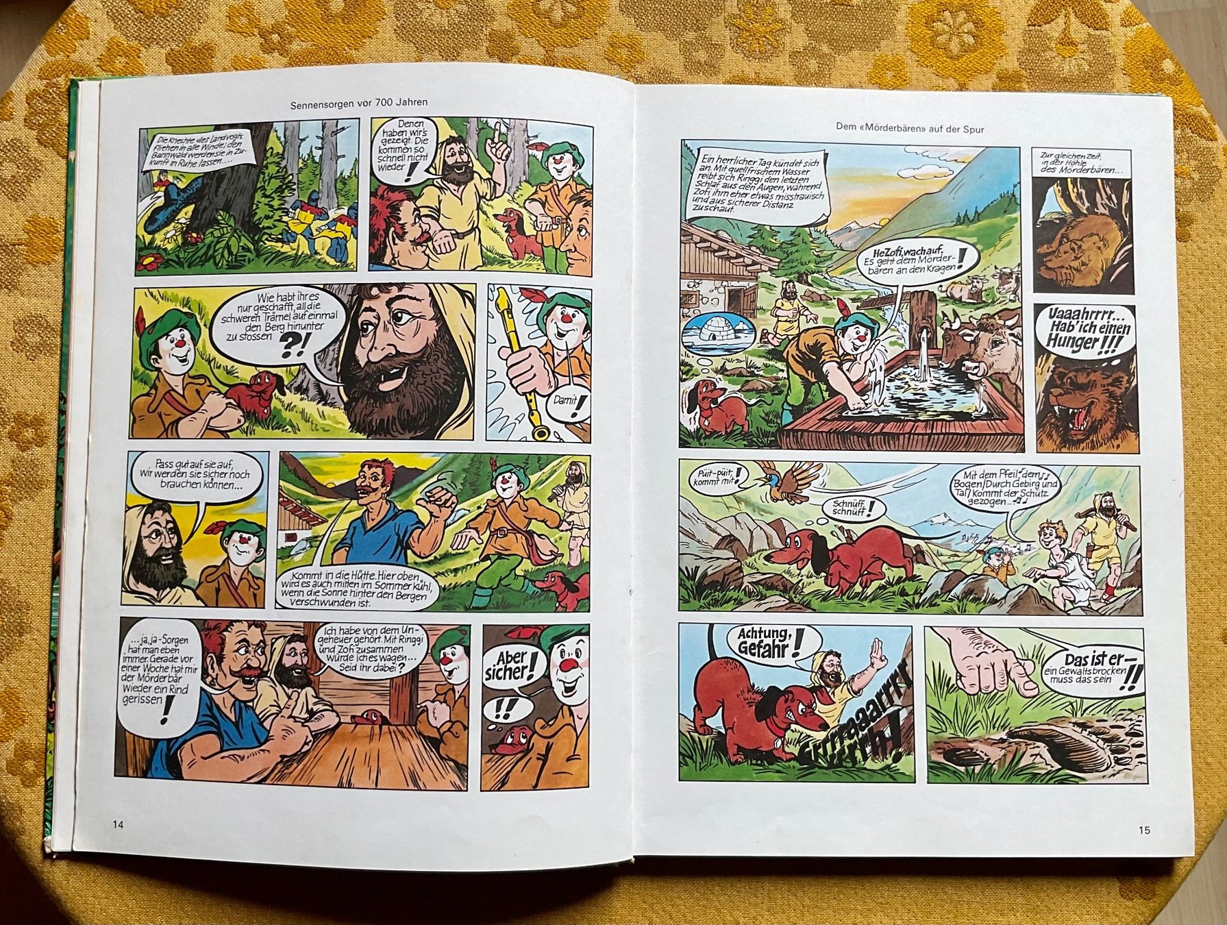 Libri: Ringgi und Zofi Buch von 1977 – Usato da Endingen venduto da nathan05 6