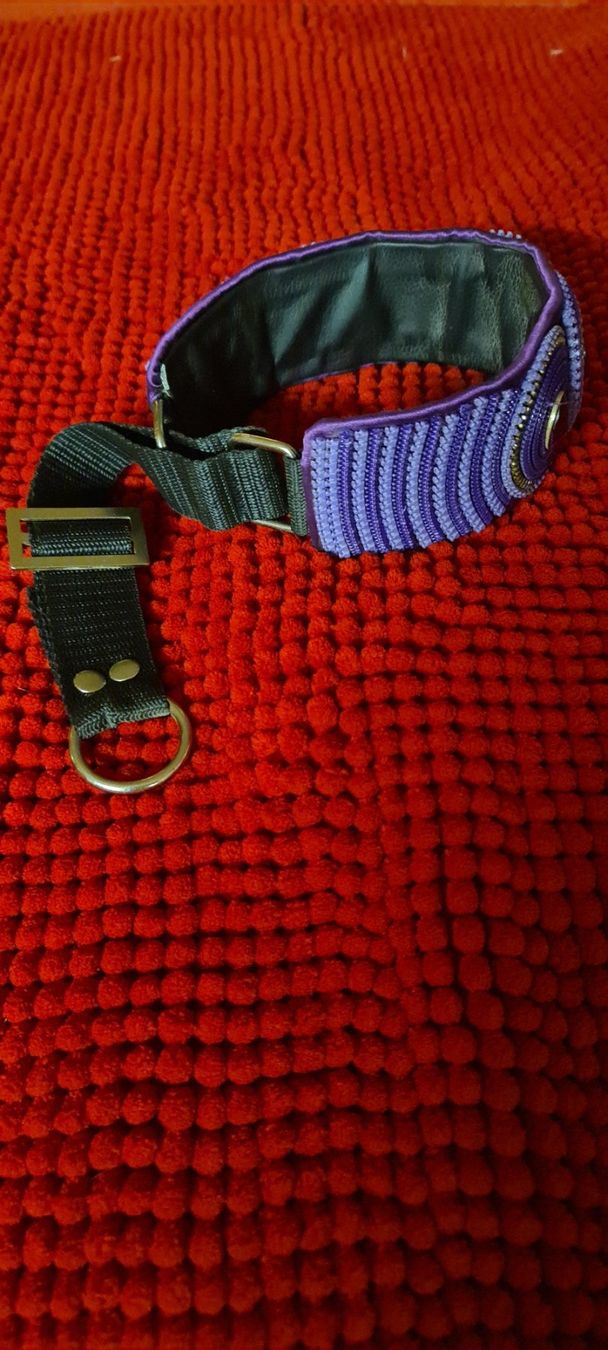 Guinzagli & Collari: Windhund Halsband – Usato da Bellerive VD venduto da Hermes5 2