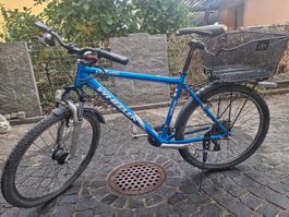 Fahrrad Wheeler mit Nabendynamo