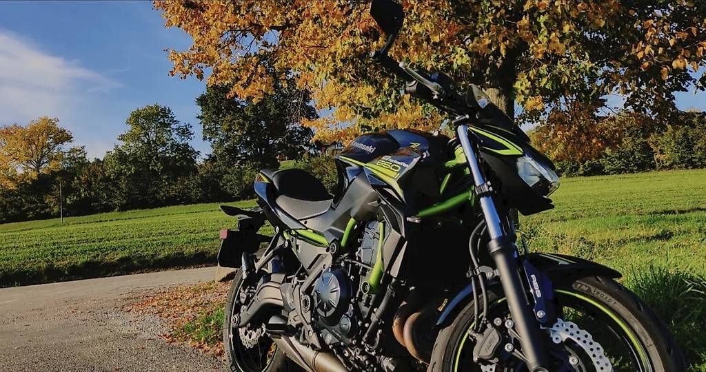 Strada: KAWASAKI Z650  – Usato da Neuenegg venduto da dim_2zp9 4