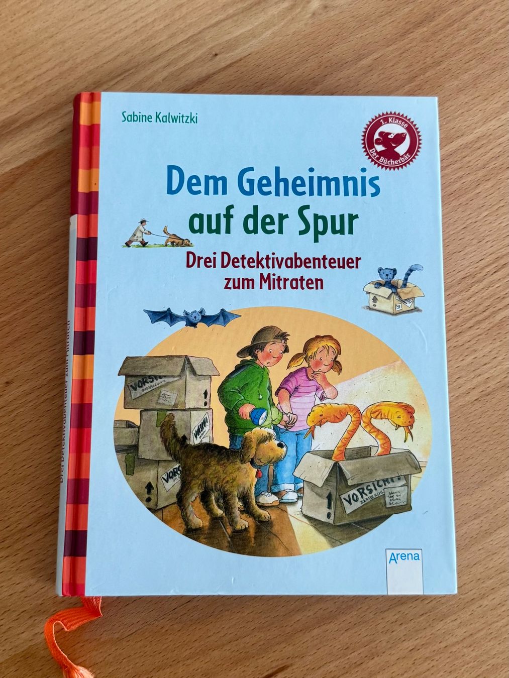 Libri: Kinderbuch "Dem Geheimnis auf der Spur" – Usato da Gersau venduto da walin_6442