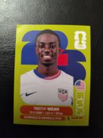 Panini FIFA World Cup 2026 USA 12