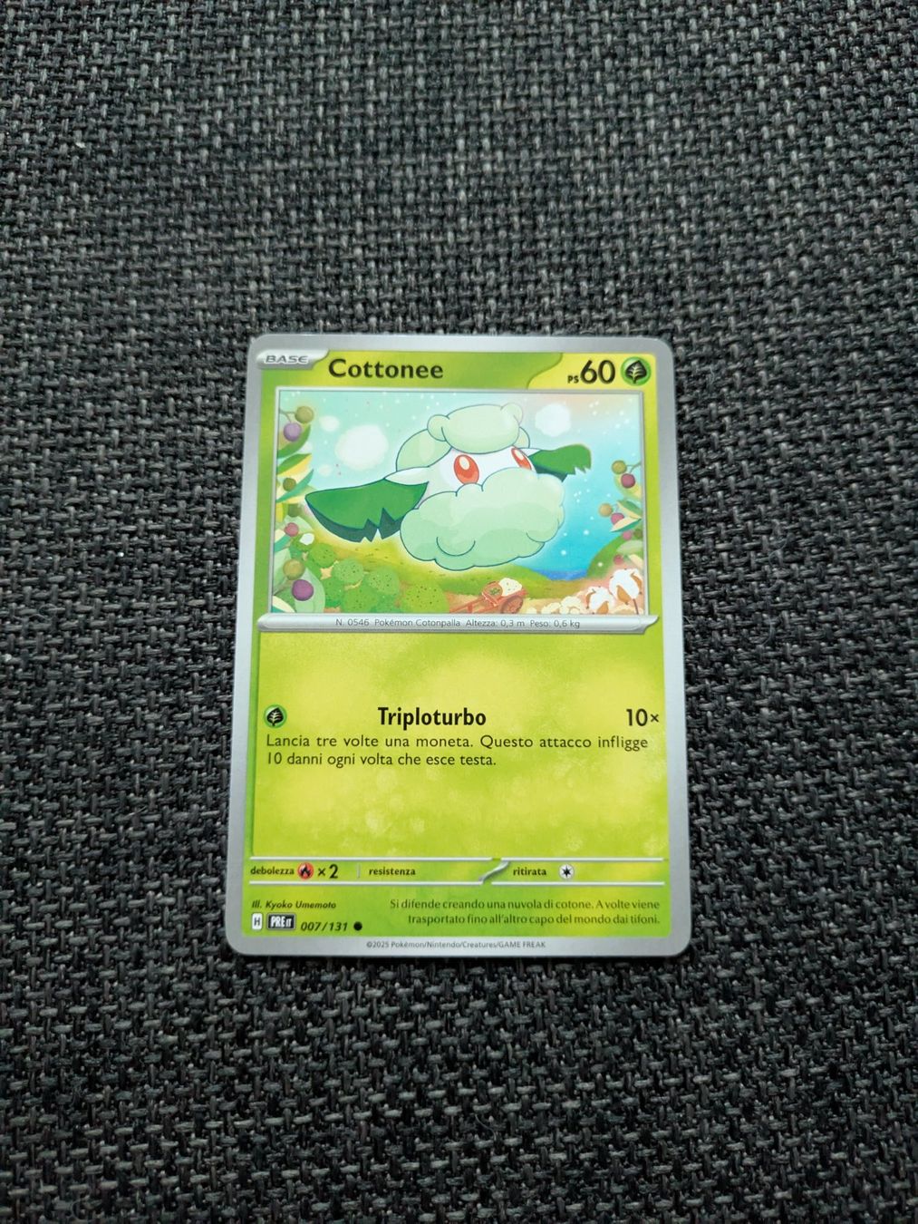 Pokémon Carte collezionabili: COTTONEE, PRISMATIC EVOLUTIONS, 7, 2025, COM, ITA, NM/MT – Usato da Losone venduto da AlpineLayer