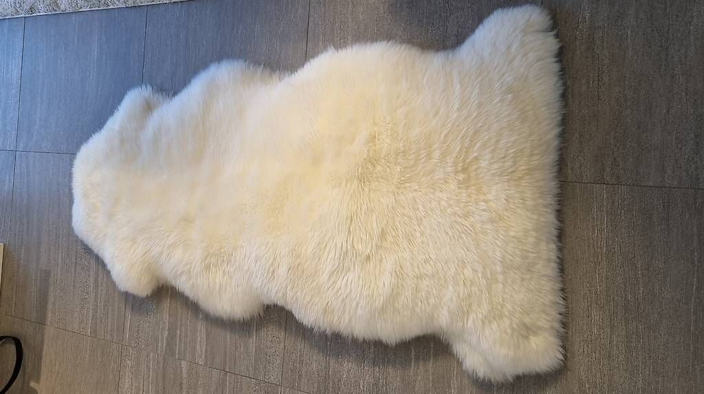 Coperte: Lammfell neu – Usato da Chur venduto da urs_lw7r 1