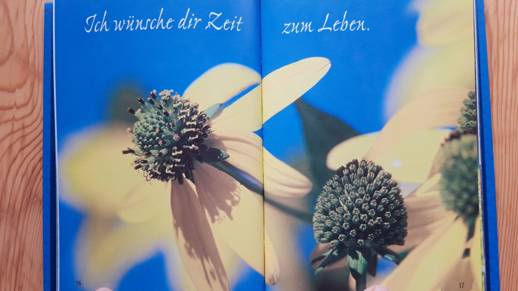 Bücher: Buch "Mach mal eine Pause" von K. Busch-Wermeyer – Neu (gemäss Beschreibung) aus Neuchâtel von marevecor 2