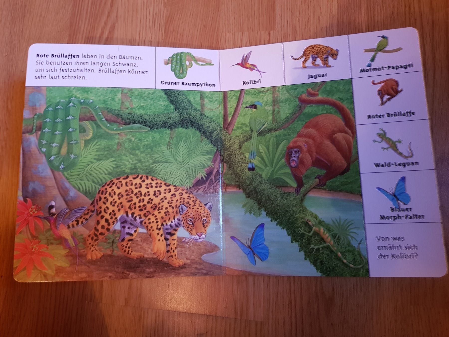 Bücher: Buch Tiere des Urwalds – Neu und originalverpackt aus Schwarzenburg von Flamingo07 2