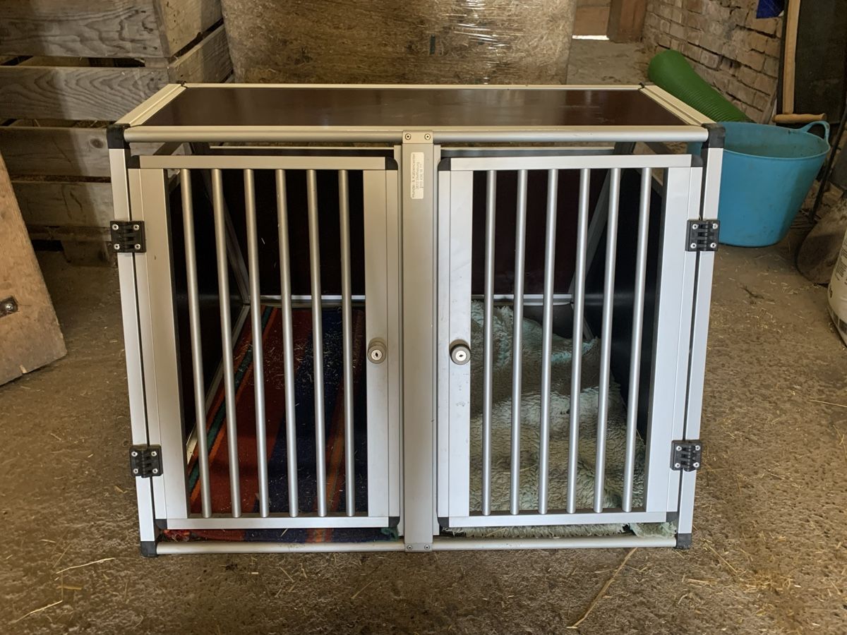 Gabbie, trasporto & Sicurezza: Doppel Box für Hunde – Usato da Thun venduto da xsaraa