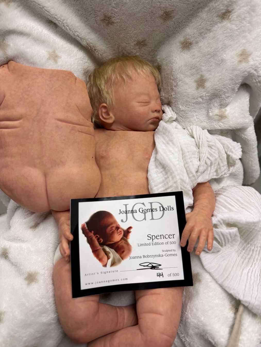 Reborn Poupées: Reborn – Neuf (Voir description) à Unterentfelden par van_m8g7 2