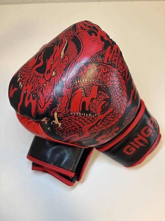 Handschuhe & Handstulpen: Boxhandschuhe mit Drachenmotiv  auffälliges Design – Gebraucht aus Basel von alex.dipietro 1
