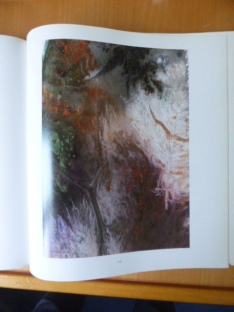 Libri: Kunst - Elisabeth Bauerstein-Wildbolz - Malerei – Nuovo (secondo la descrizione) da Brunnadern venduto da lesezirkel 1