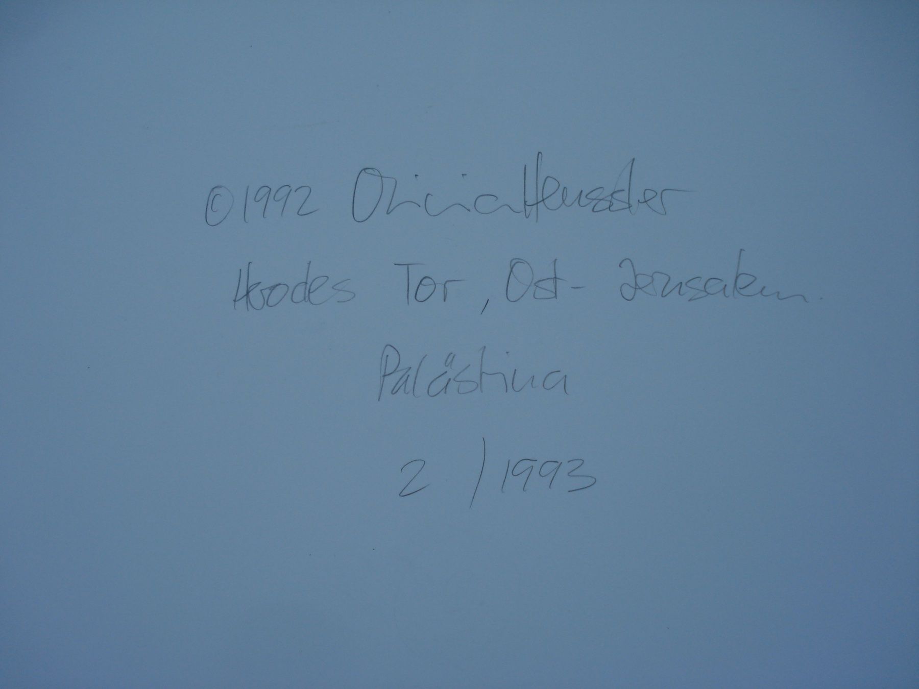 Dipinti: Olivia Heussler geb. 1957 – Usato da Basel venduto da art.basel 4
