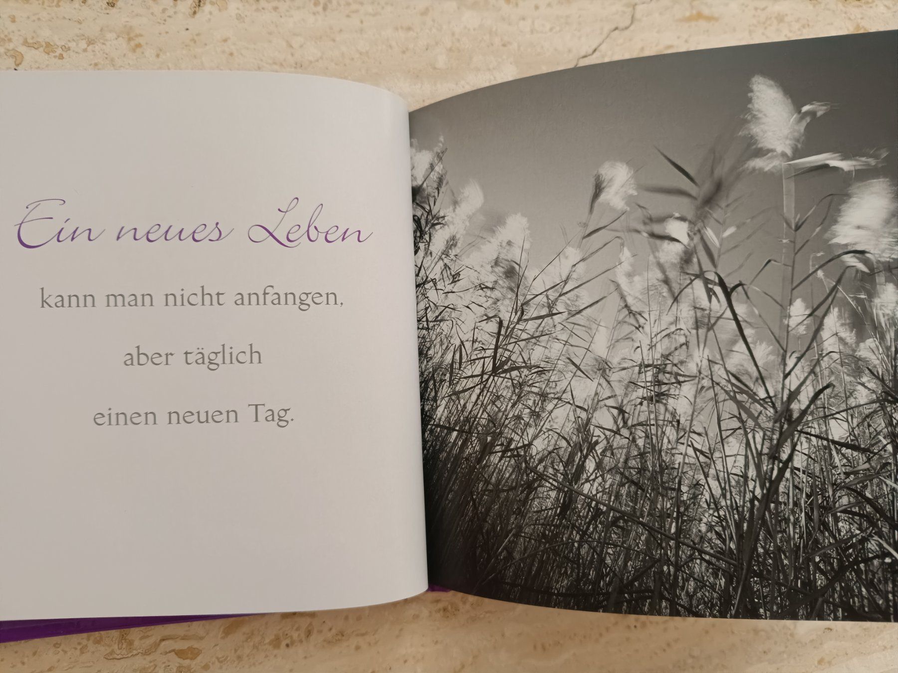 Libri: Buch Ich Wünsche dir viel Zuversicht – Nuovo (secondo la descrizione) da Wenslingen venduto da Stibi04 1
