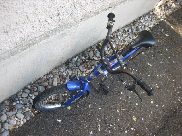 Leopard Biciclette: Kinderfahrrad Leopard Fly Cat 16 Zoll – Usato da Winterthur venduto da pf02 3