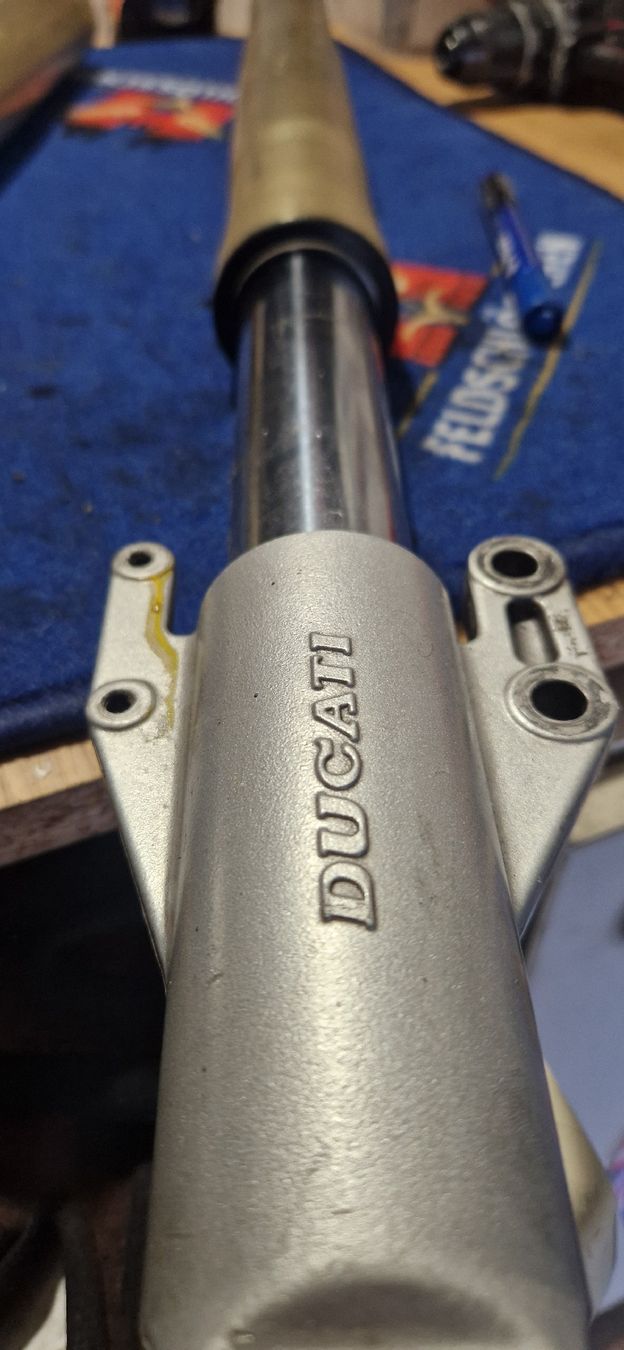 Ducati Tutti i ricambio per moto: Ducati monster Gabelbeine – Usato da Emmenbrücke venduto da pie998 2