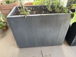 Grauer Pflanzkasten mit Rillenmuster für Frühling/Sommer