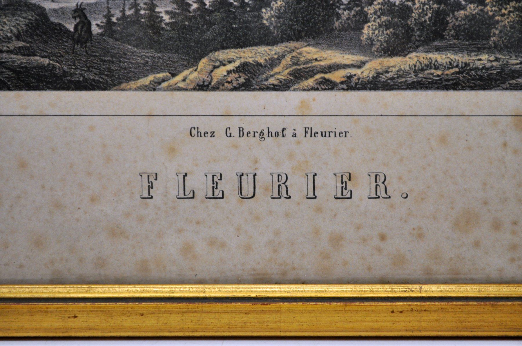 Stiche: Gravure "Fleurier" – Gebraucht aus Neuchâtel von Neuchatel 2