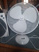 Tischventilator